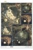 mroczny las, zegary, grzyby, baśniowy krajobraz, ciemny las*dark forest, clocks, mushrooms, fairytale landscape, dark forest*dunkler Wald, Uhren, Pilze, märchenhafte Landschaft, dunkler Wald*bosque oscuro, relojes, setas, paisaje de cuento, bosque oscuro